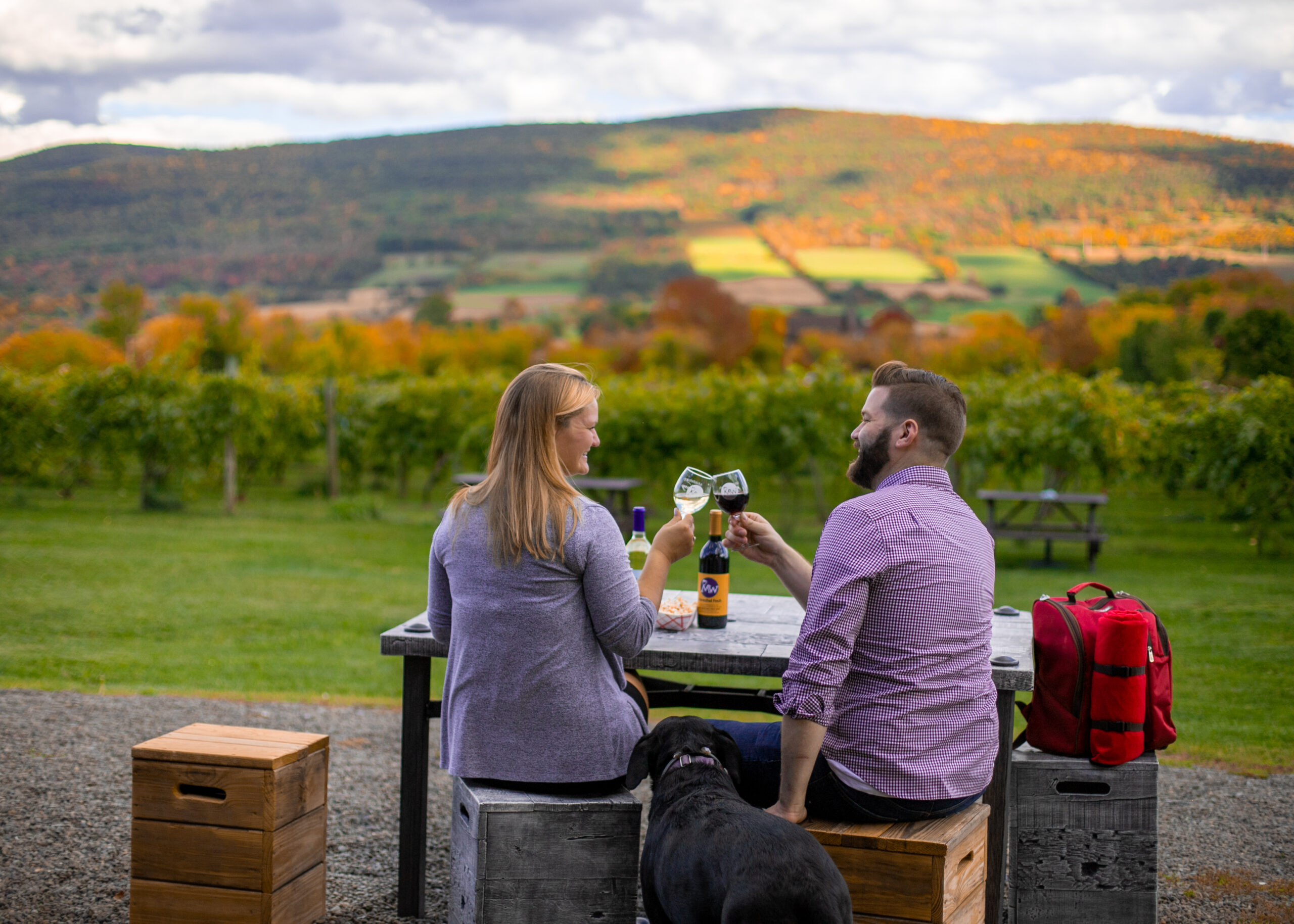 Middleburgh Winery
