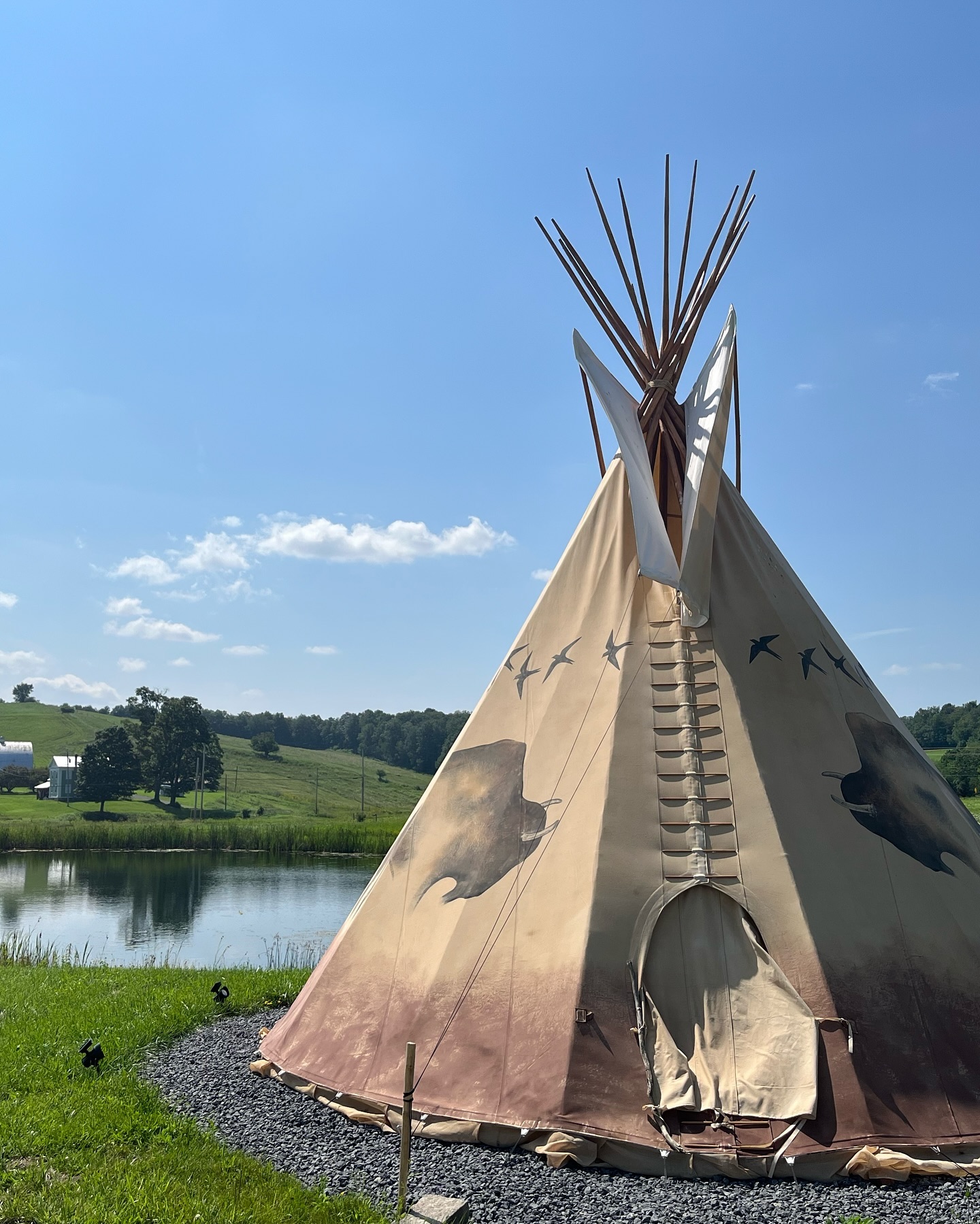 Bison Island Ranch