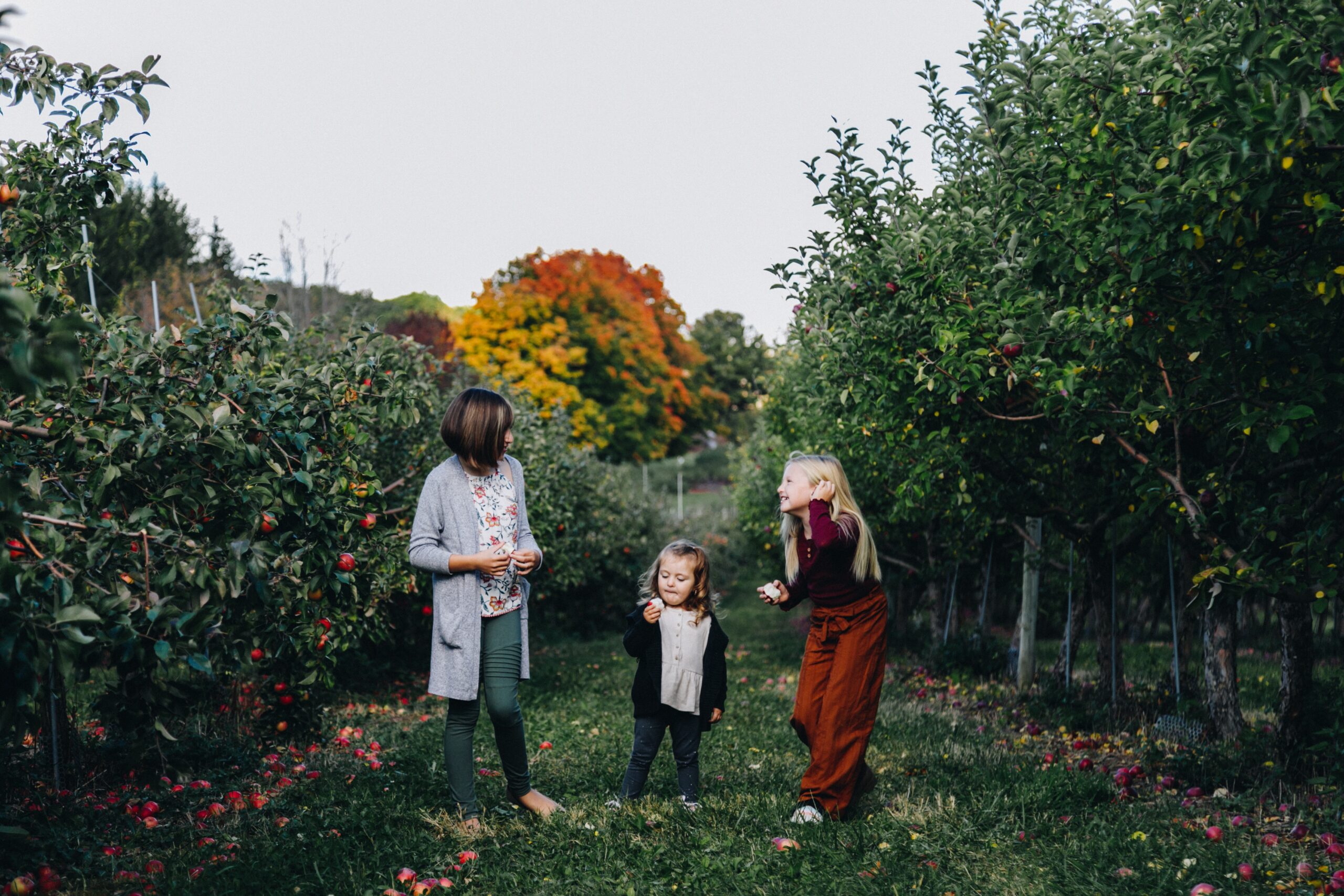 Terrace Mountain Orchard