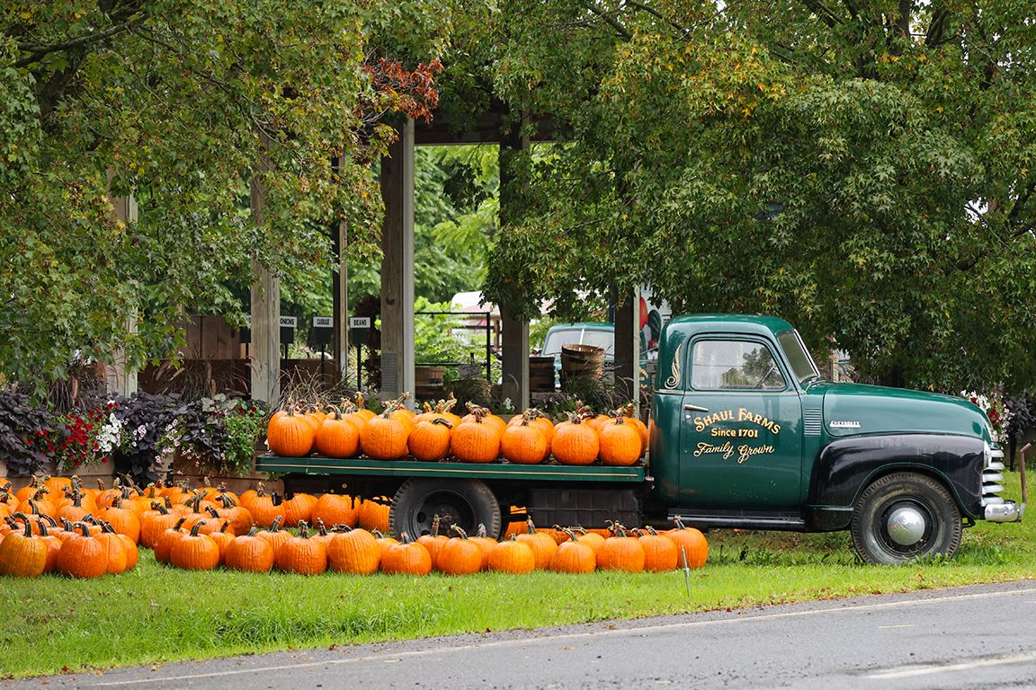 Shaul Farms
