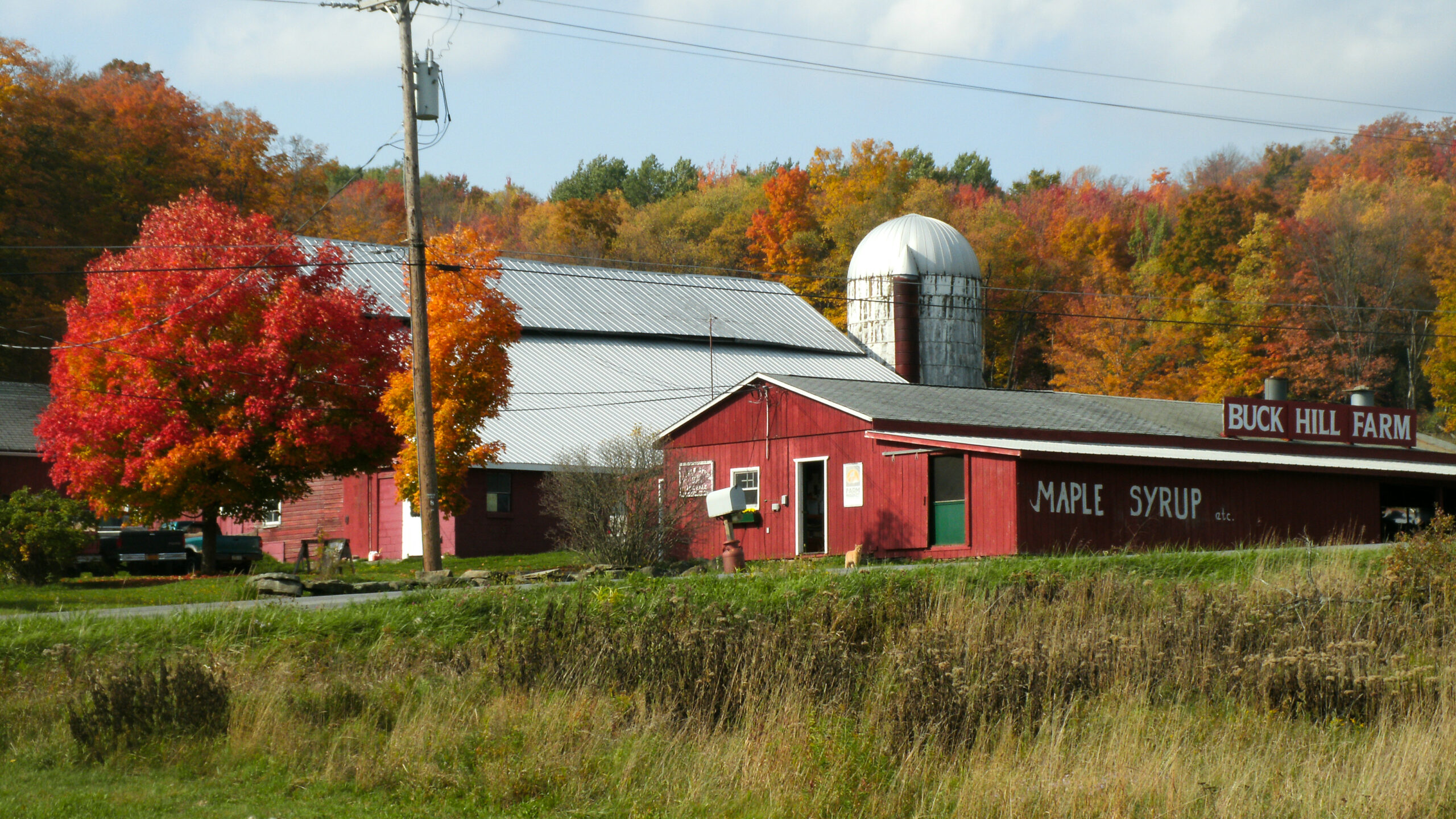 Buck Hill Farm