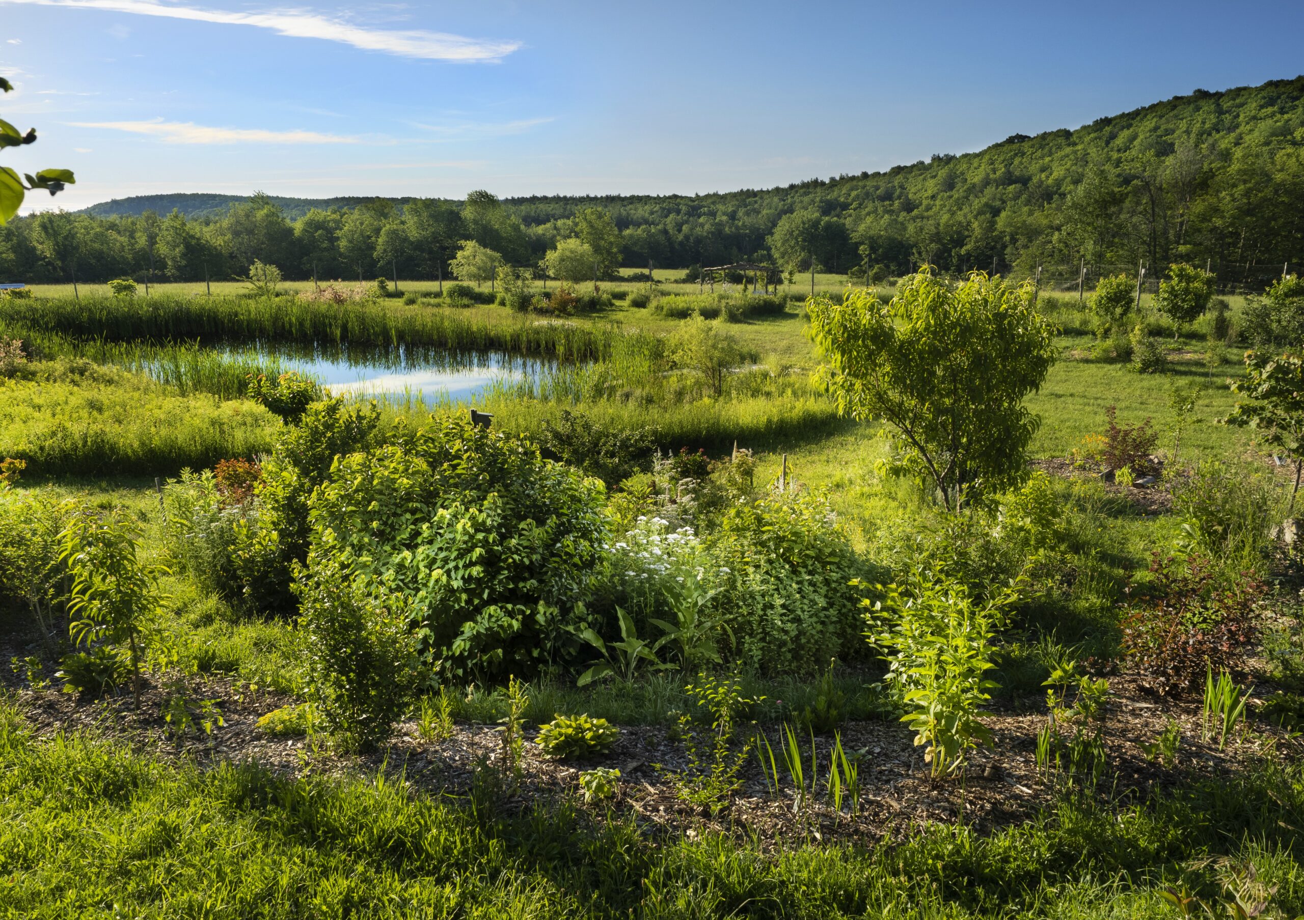 Raven Crest Botanicals