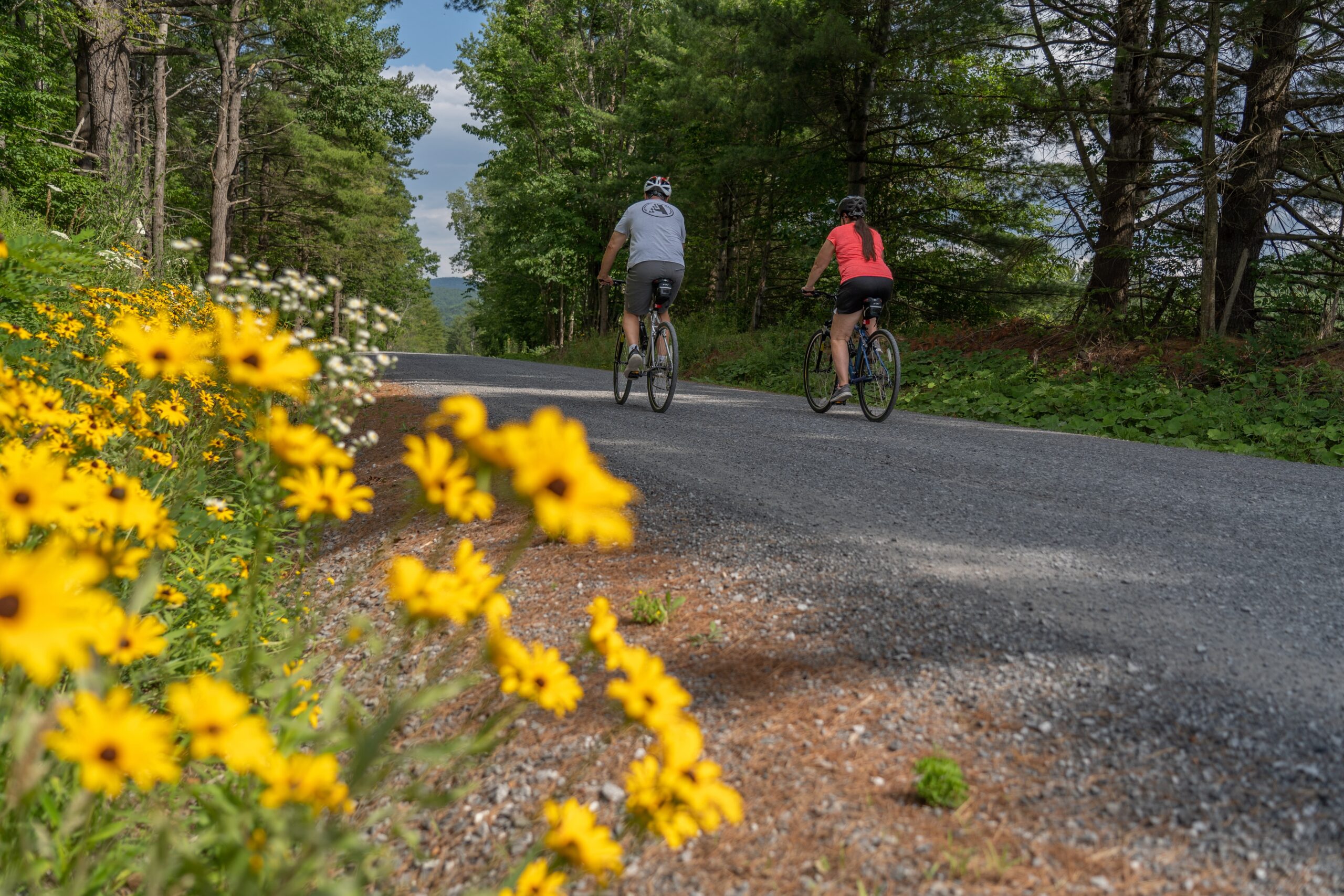 Biking on country roads