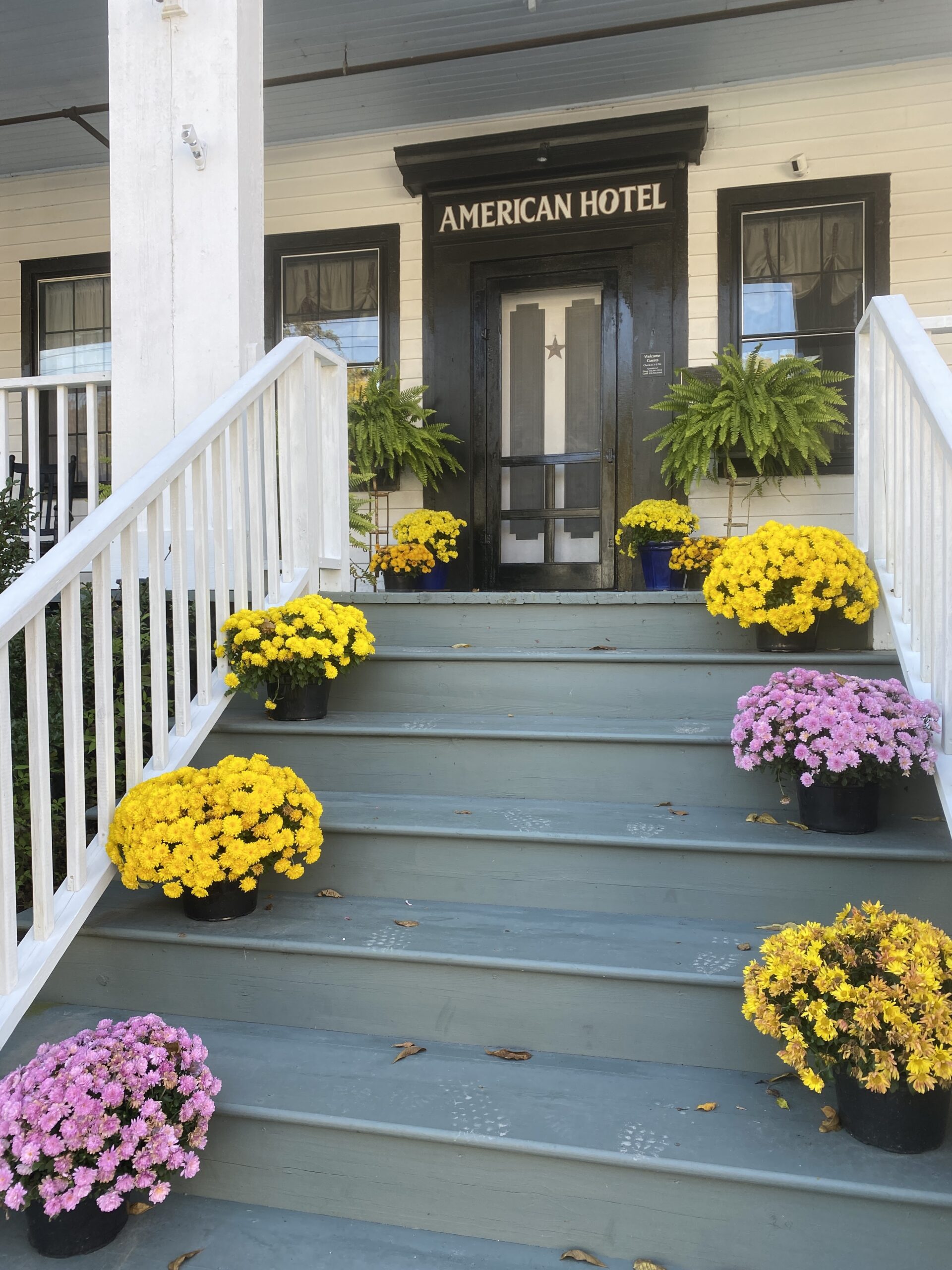 American Hotel